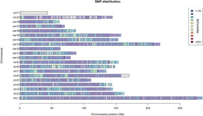 Conservation Priorities Analysis of Chinese Indigenous Pig Breeds in the Taihu Lake Region